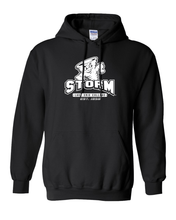 Load image into Gallery viewer, Lake Erie Storm Est 1856 Hooded Sweatshirt - Black