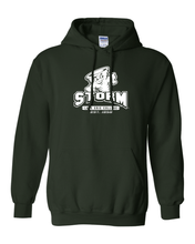 Load image into Gallery viewer, Lake Erie Storm Est 1856 Hooded Sweatshirt - Forest Green