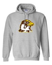 Load image into Gallery viewer, Quincy University Full Color Logo Hooded Sweatshirt - Sport Grey