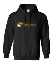 Load image into Gallery viewer, Quincy University Hawks Hooded Sweatshirt - Black