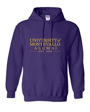 Load image into Gallery viewer, University of Montevallo Alumni Hooded Sweatshirt - Purple