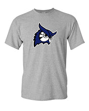 Load image into Gallery viewer, Westfield State University Owls T-Shirt - Sport Grey