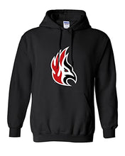 Load image into Gallery viewer, Carthage College Firebird Mascot Hooded Sweatshirt - Black