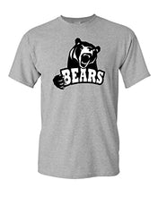 Load image into Gallery viewer, Lenoir-Rhyne University Mascot T-Shirt - Sport Grey