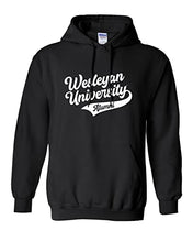 Load image into Gallery viewer, Wesleyan University Alumni Hooded Sweatshirt - Black