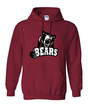Load image into Gallery viewer, Lenoir-Rhyne University Mascot Hooded Sweatshirt - Cardinal Red