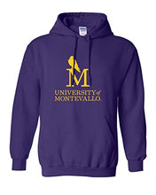 Load image into Gallery viewer, University of Montevallo Hooded Sweatshirt - Purple