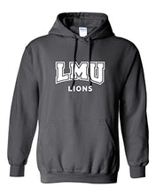 Load image into Gallery viewer, Loyola Marymount University Mascot Hooded Sweatshirt - Charcoal