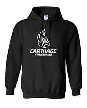 Load image into Gallery viewer, Carthage College Firebirds Stacked Hooded Sweatshirt - Black