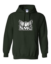 Load image into Gallery viewer, Northwestern Michigan Hawk Owls Hooded Sweatshirt - Forest Green