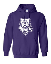 Load image into Gallery viewer, Truman State University Bulldogs Hooded Sweatshirt - Purple