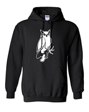 Load image into Gallery viewer, Keene State College Owl Hooded Sweatshirt - Black