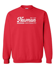 Load image into Gallery viewer, Vintage Newman University Crewneck Sweatshirt - Red