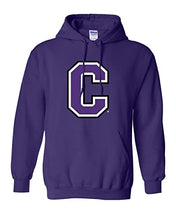 Load image into Gallery viewer, Cornell College C Hooded Sweatshirt - Purple