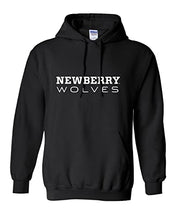 Load image into Gallery viewer, Newberry College Text Hooded Sweatshirt - Black