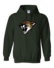 Load image into Gallery viewer, University of Vermont Catamount Head Hooded Sweatshirt - Forest Green