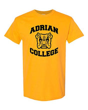 Load image into Gallery viewer, Adrian College Stacked Black Logo T-Shirt - Gold
