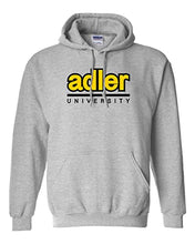 Load image into Gallery viewer, Adler University Hooded Sweatshirt - Sport Grey