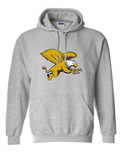Load image into Gallery viewer, Canisius College Full Color Hooded Sweatshirt - Sport Grey