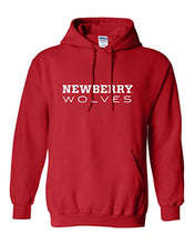 Load image into Gallery viewer, Newberry College Text Hooded Sweatshirt - Red