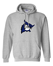 Load image into Gallery viewer, Westfield State University Owls Hooded Sweatshirt - Sport Grey