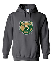 Load image into Gallery viewer, Georgia Gwinnett College Bear Head Hooded Sweatshirt - Charcoal