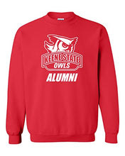 Load image into Gallery viewer, Keene State College Alumni Crewneck Sweatshirt - Red