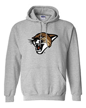 Load image into Gallery viewer, University of Vermont Catamount Head Hooded Sweatshirt - Sport Grey