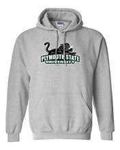 Load image into Gallery viewer, Plymouth State University Mascot Hooded Sweatshirt - Sport Grey