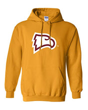 Load image into Gallery viewer, Winthrop University Mascot Hooded Sweatshirt - Gold