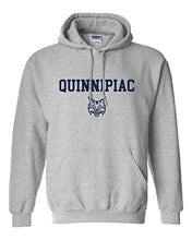 Load image into Gallery viewer, Quinnipiac University Hooded Sweatshirt - Sport Grey