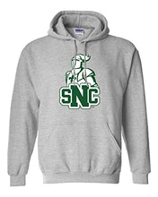 Load image into Gallery viewer, St. Norbert College Alumni Hooded Sweatshirt - Sport Grey