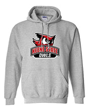 Load image into Gallery viewer, Keene State Owls Hooded Sweatshirt - Sport Grey