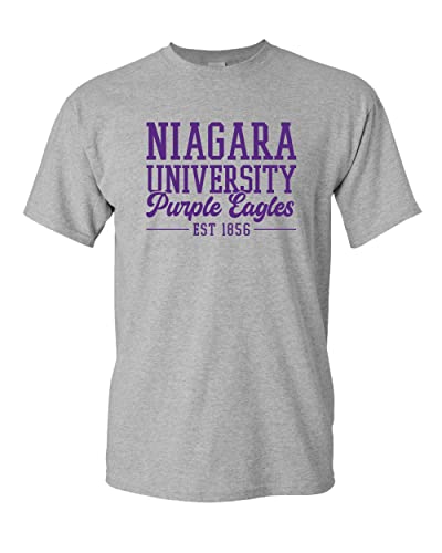 Vintage Niagara University T-Shirt - Sport Grey