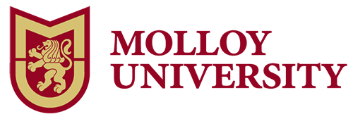 Molloy University (New York)