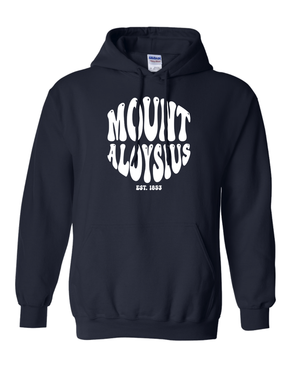 Vintage Mount Aloysius Hooded Sweatshirt - Navy
