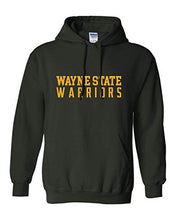 Load image into Gallery viewer, Wayne State Warriors One Color Hooded Sweatshirt - Forest Green
