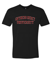 Load image into Gallery viewer, Gwynedd Mercy University Soft Exclusive T-Shirt - Black
