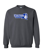 Load image into Gallery viewer, Central Connecticut Blue Devils Crewneck Sweatshirt - Charcoal
