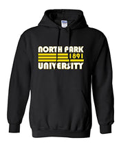Load image into Gallery viewer, Retro North Park University Hooded Sweatshirt - Black
