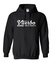 Load image into Gallery viewer, Vintage Viterbo University Hooded Sweatshirt - Black
