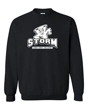 Load image into Gallery viewer, Lake Erie College Storm Crewneck Sweatshirt - Black
