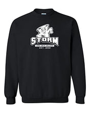 Load image into Gallery viewer, Lake Erie Storm Est 1856 Crewneck Sweatshirt - Black
