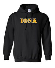 Load image into Gallery viewer, Iona University Iona Logo Hooded Sweatshirt - Black
