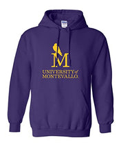 Load image into Gallery viewer, University of Montevallo Hooded Sweatshirt - Purple
