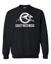 Load image into Gallery viewer, Univ of Indianapolis Greyhounds White Text Crewneck Sweatshirt - Black
