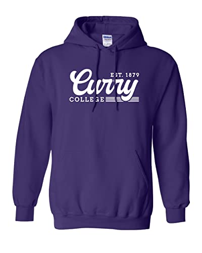 Vintage Curry College Hooded Sweatshirt - Purple
