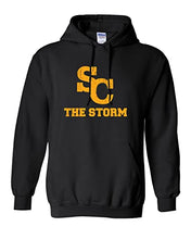 Load image into Gallery viewer, Simpson College The Storm Hooded Sweatshirt - Black
