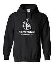 Load image into Gallery viewer, Carthage College Firebirds Stacked Hooded Sweatshirt - Black
