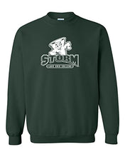 Load image into Gallery viewer, Lake Erie College Storm Crewneck Sweatshirt - Forest Green

